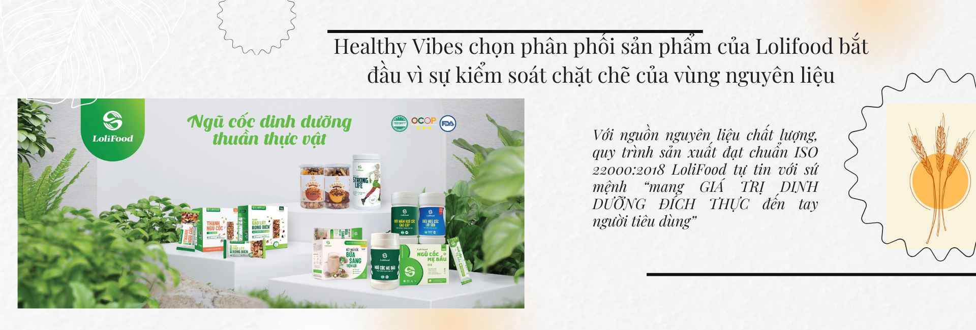 Healthyvibes Banner